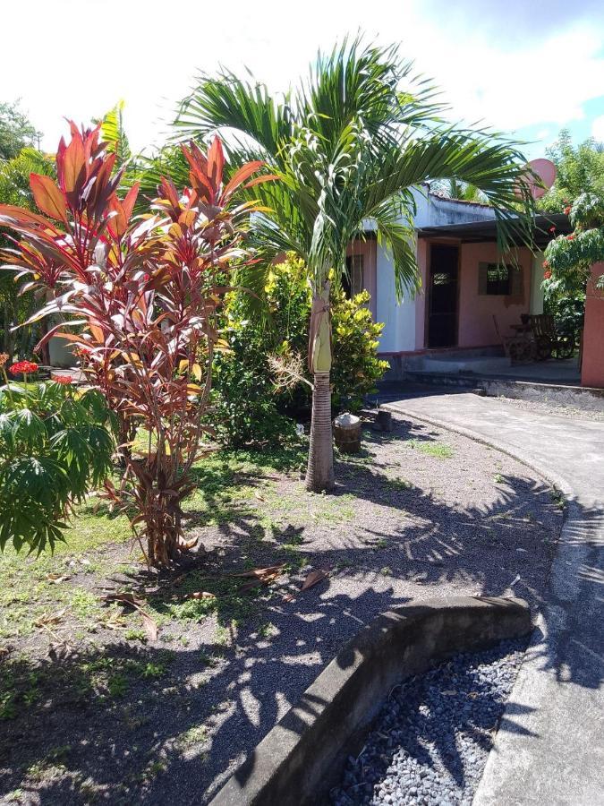 Rancho Tranquillo Hostel Moyogalpa Exterior photo