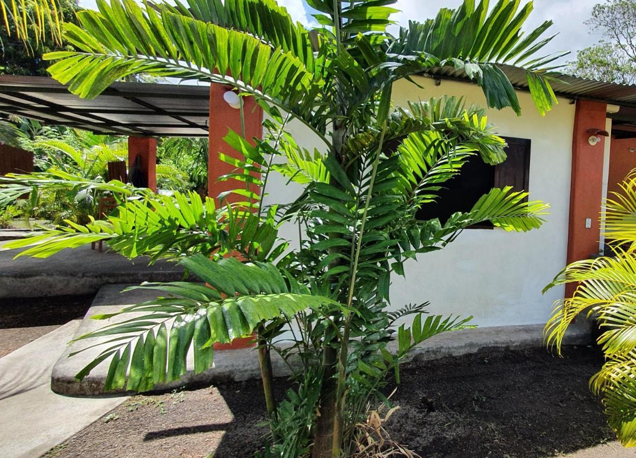 Rancho Tranquillo Hostel Moyogalpa Exterior photo